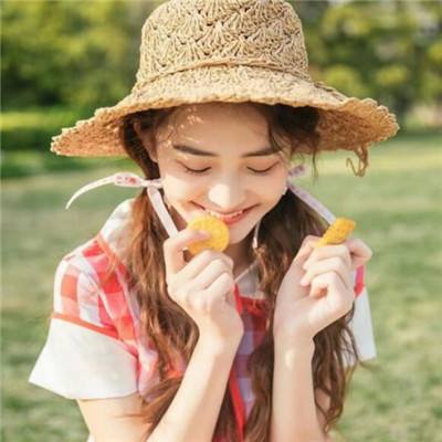 王女异闻录小米版下载